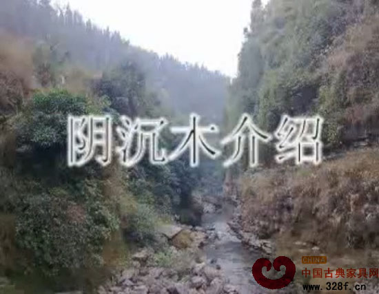 阴沉木介绍