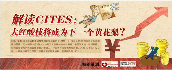 2013年，中山商易电子商务有限公司（中国古典家具网）策划的大红酸枝专题受到业界关注