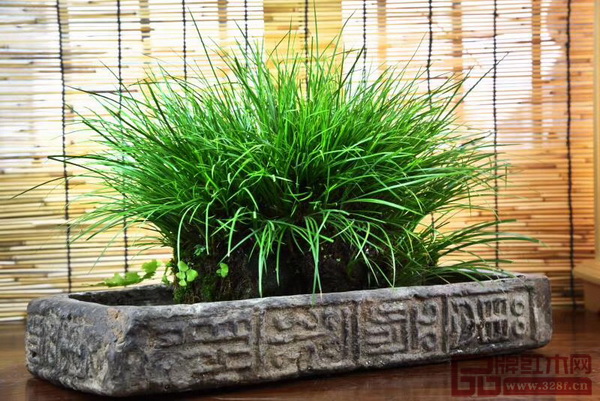 “吴宁蒲秀”古砖菖蒲条案展 “吴宁蒲秀”古砖菖蒲条案展