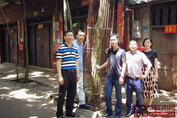 区氏臻品团队拜访了海南当地多位黄花梨行家 区氏臻品团队拜访了海南当地多位黄花梨行家