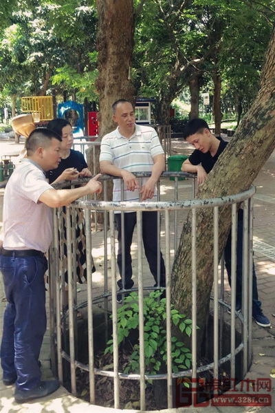 区氏臻品团队与当地行家共同研究海南黄花梨树的生长情况