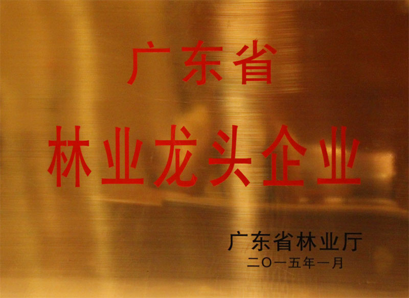 广东省林业龙头企业