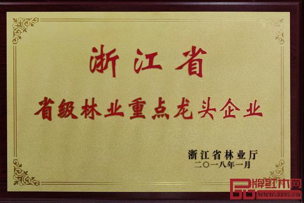 恒达木业荣获“浙江省林业重点龙头企业” 恒达木业荣获“浙江省林业重点龙头企业”