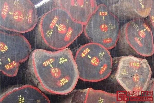亚马孙黄檀 亚马孙黄檀