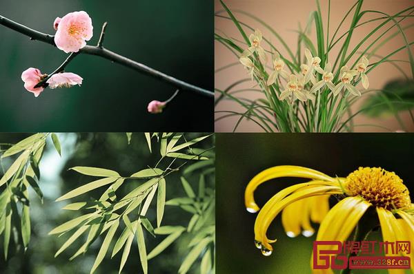 梅兰竹菊,在中国文化里有个特别的雅号,即“四君子” 梅兰竹菊,在中国文化里有个特别的雅号,即“四君子”
