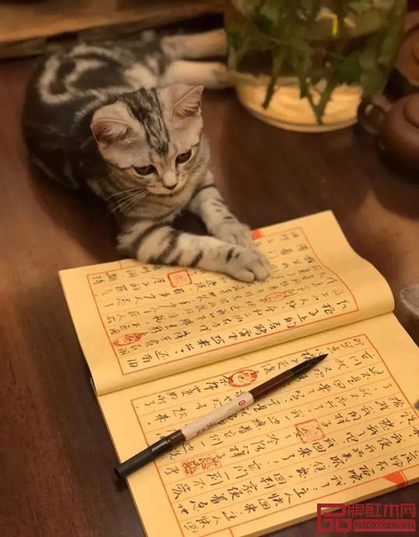 致远家具产品图