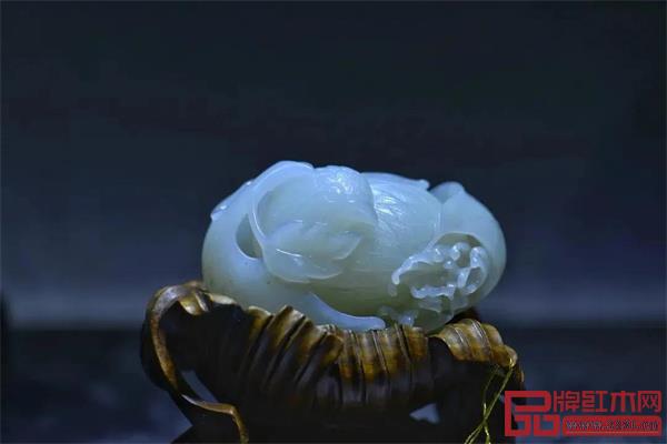 泰和园年终回顾:跨界2021 绽放2022 泰和园年终回顾:跨界2021 绽放2022