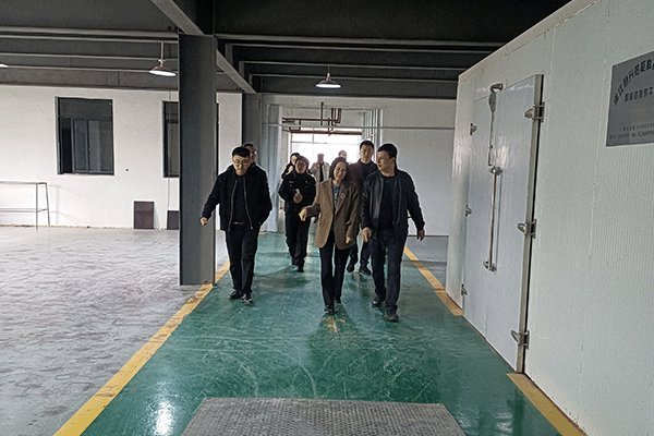东阳市副市长龚杭娟(中)一行在董事长陆飞跃(右)的陪同下参观喜迎红红木工厂 东阳市副市长龚杭娟(中)一行在董事长陆飞跃(右)的陪同下参观喜迎红红木工厂
