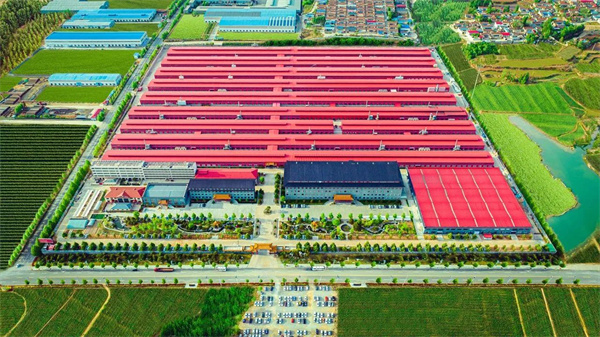 中国品牌日 | 巧夺天工红木30载锻造品牌新力量，以匠心之火燃百年传奇